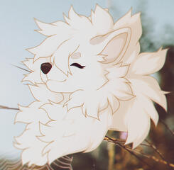 Sample two